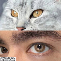 EYESHARE New Fashion Color Contact Lenses for Eyes Anime Blue Eyes Contacts Lenses