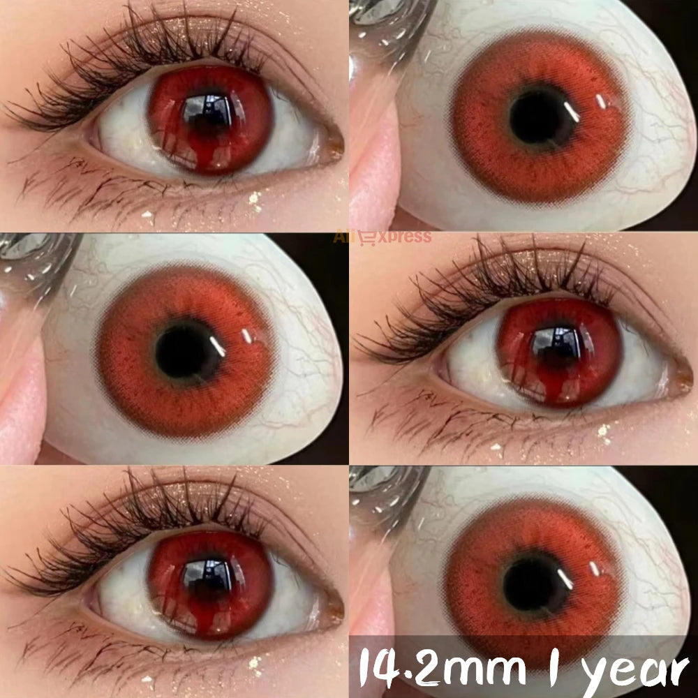 45057614020800