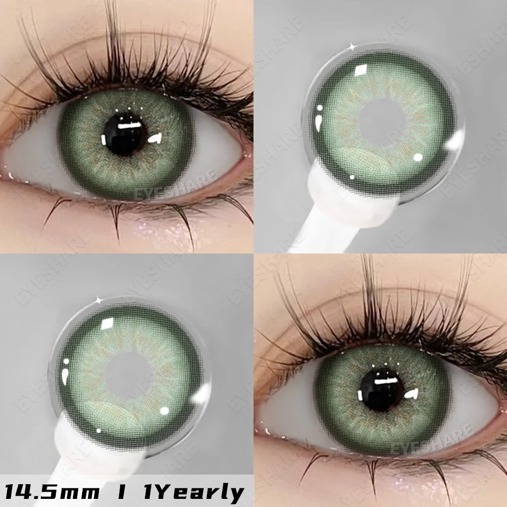 44569465192640