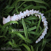 Furry Furrsuit 3D Polylactic Acid Dragon Bones Movable Joints Tail Anime Cosplay Halloween Christmas Party Gifts Cos Customized