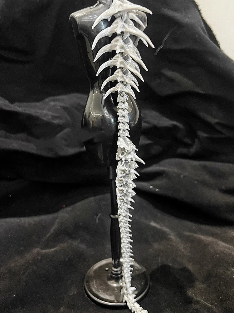 The Punk Gothic Large Dragon Spine Necklace, A Niche Design, Is A Jewelry Accessory For Both Men And Women's Carnival