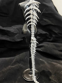 The Punk Gothic Large Dragon Spine Necklace, A Niche Design, Is A Jewelry Accessory For Both Men And Women's Carnival