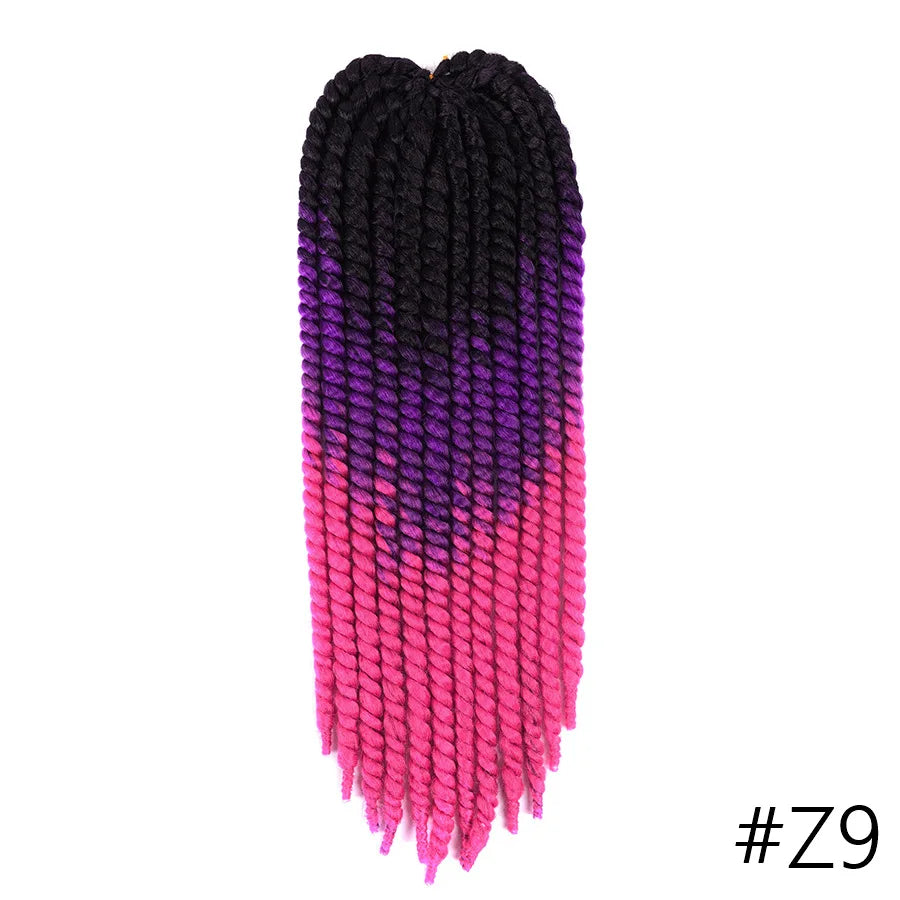 22 Inch Senegalese Twist Crochet Hair – Ombre Synthetic Jumbo Twist Braids (120g)