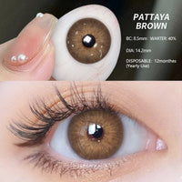 EYESHARE 1 Pair Colored Contact Lenses Green Eye Lenses Blue Lens Natural Fast Delivery Brown Eye Lens Yearly Eyes Contacts Lens