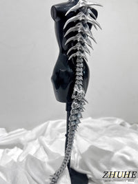 The Punk Gothic Large Dragon Spine Necklace, A Niche Design, Is A Jewelry Accessory For Both Men And Women's Carnival