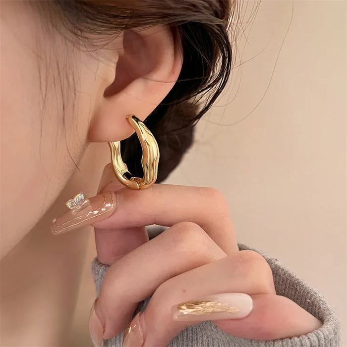 Stainless Steel Smooth Metal Hoop Earrings For Woman Girl Elegent Luxury  Korean Jewelry Temperament Girl's Daily Wear earrings
