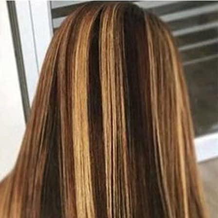 Highlight Wig Brown Colored Human Hair Wigs for Women Ombre Straight Lace Front Wig